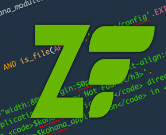 How To Handle Errors In Zend Framework?