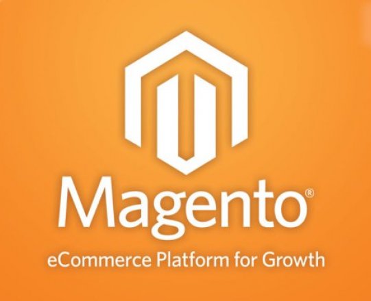 Hire Magento Expert To Get Your Physical Store Online