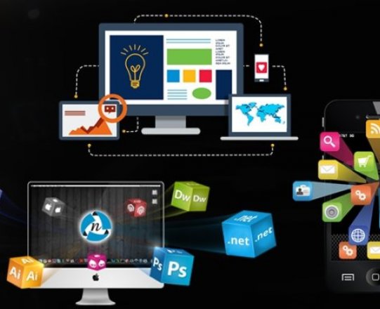 7 Reasons To Choose Mitiz For Web And Mobile App Development