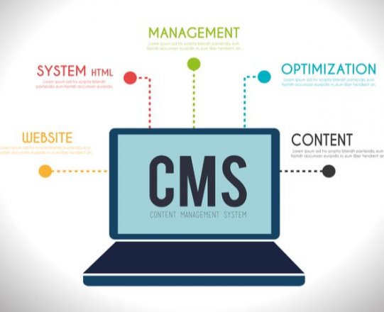 How Can Content Management Systems Make Your Business Competitive?