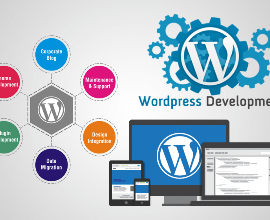Why Should You Go For WordPress Development Company For Your Business?