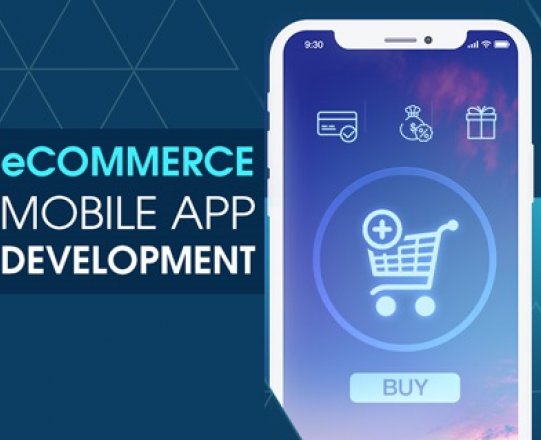 How to Build a Powerful eCommerce Application?