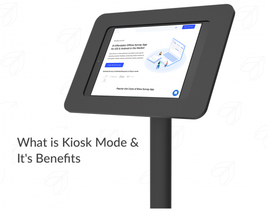 The Kiosk Mode and its Types