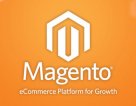 Hire Magento Expert To Get Your Physical Store Online