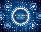 All You Must Know About Blockchain Development and Developers