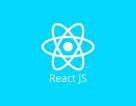 Why Should You Use ReactJS in Your Next Project
